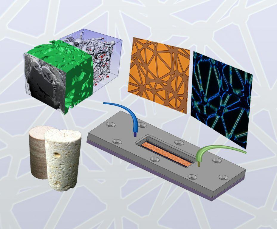 Reservoir-on-a-Chip (ROC) diagram.