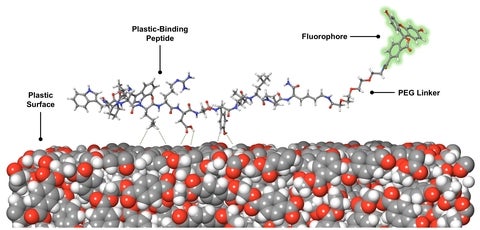 Plastic binding peptide