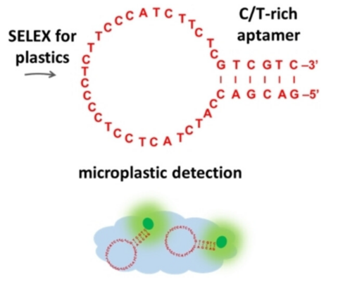 Selection of Plastic-Binding DNA Aptamers for Microplastics Detection