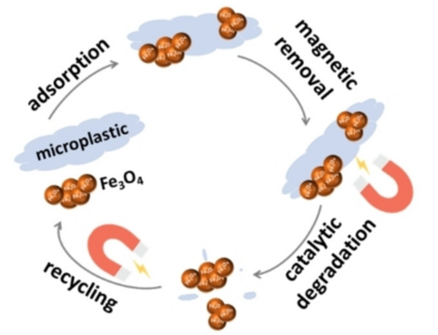 Removal and Degradation of Microplastics Using the Magnetic and Nanozyme Activities of Bare Iron Oxide Nanoaggregates