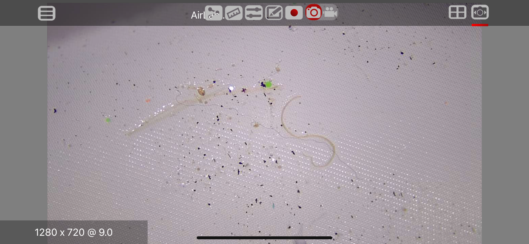 Microplastics sample under microscope