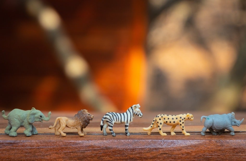 Plastic Animal Toys on Wooden Surface