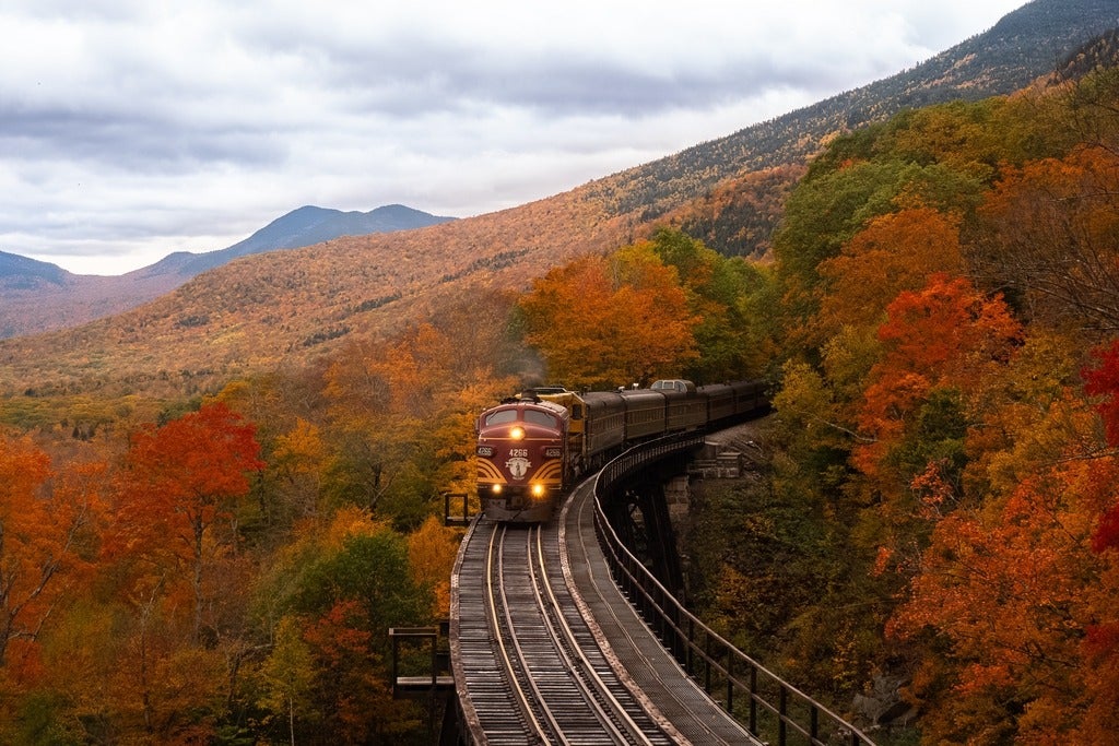 Train going through a fall forest 