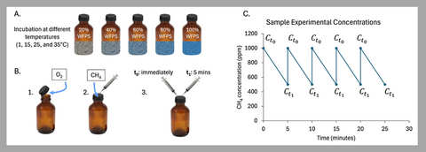 A schematic of the incubation at different temperatures, methane injection procedure, and a sample graph showing the headspace concentrations of methane.