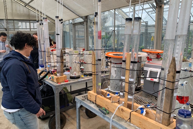 Methane flux gas chamber experiments in the campus greenhouse.