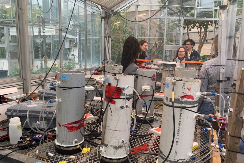 A view of the methane flux gas chamber experiments in the campus greenhouse.