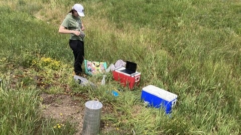 Emma Roy collecting soil samples and taking methane measurements at a closed landfill site