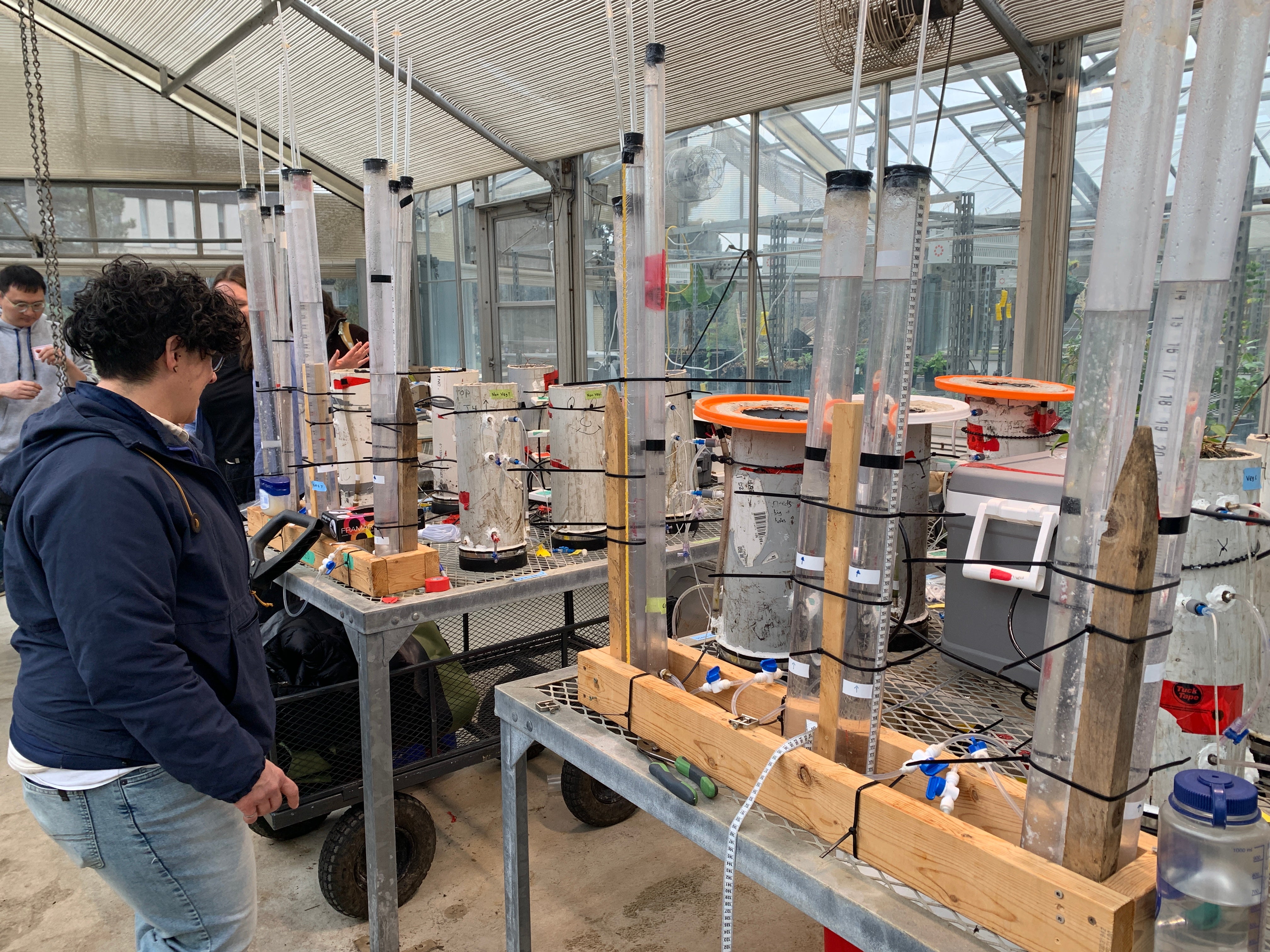 Methane flux gas chamber experiments in the campus greenhouse.