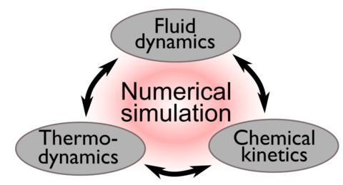 Numerical Simulation