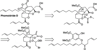 Publication 7