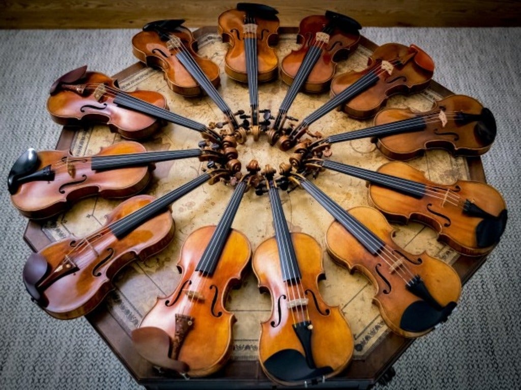 circle of violins