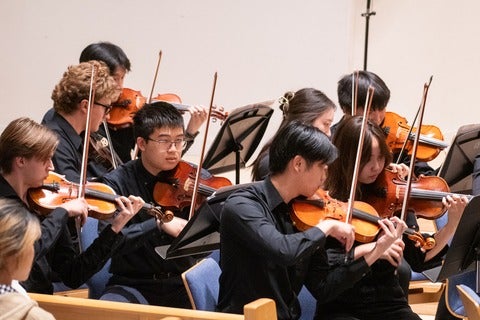 Violins and violas playing in an Orchestra concert