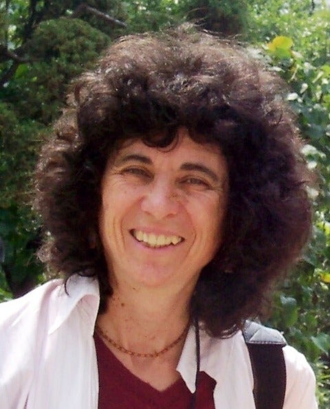 Professor Carol Ann Weaver