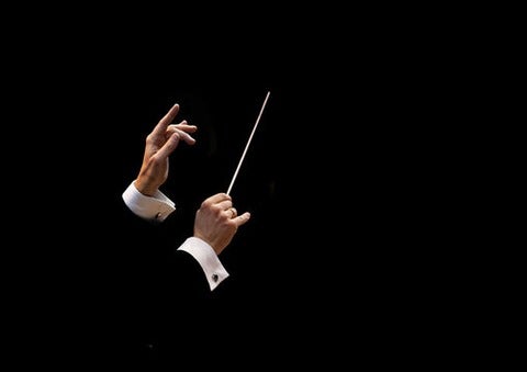 conductor's baton
