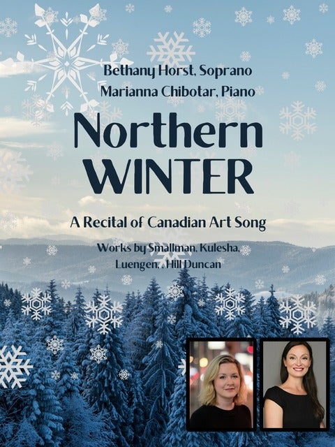 Northern Winter poster