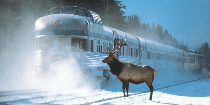 Train with moose and snow