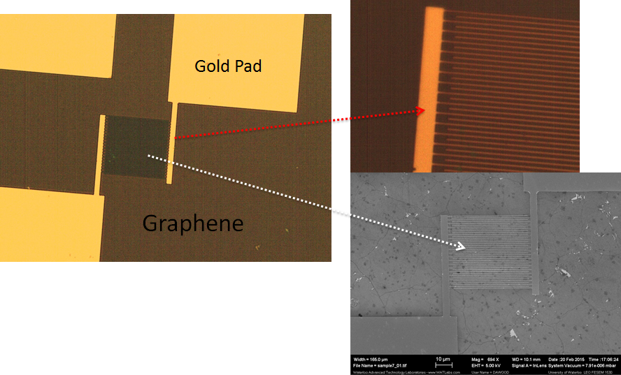 graphene photodetector