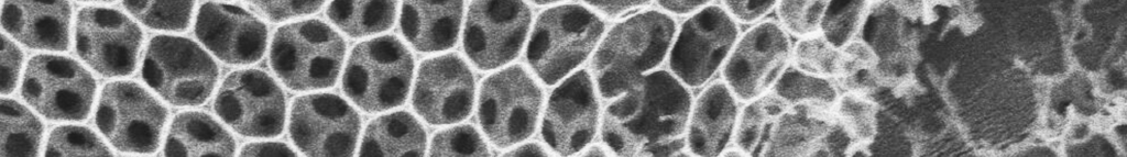 Close up of polymer structure.