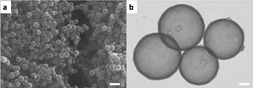 (a) SEM and (b) STEM images showing the uniform porous carbon nanospheres.