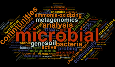 Word Cloud Related To Research