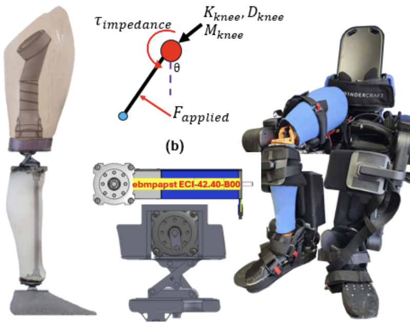 Lower Limb Exo Mannequin Diagram