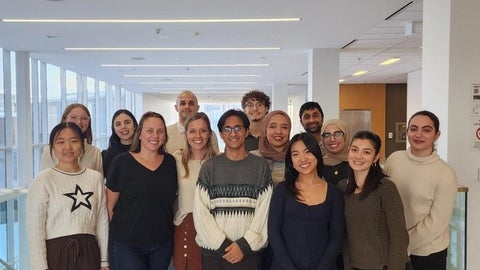 A decorative image of the Neurocognition and Mobility Lab at Christmas last year.