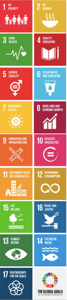 a graphic representation of the 17 UN SDGs
