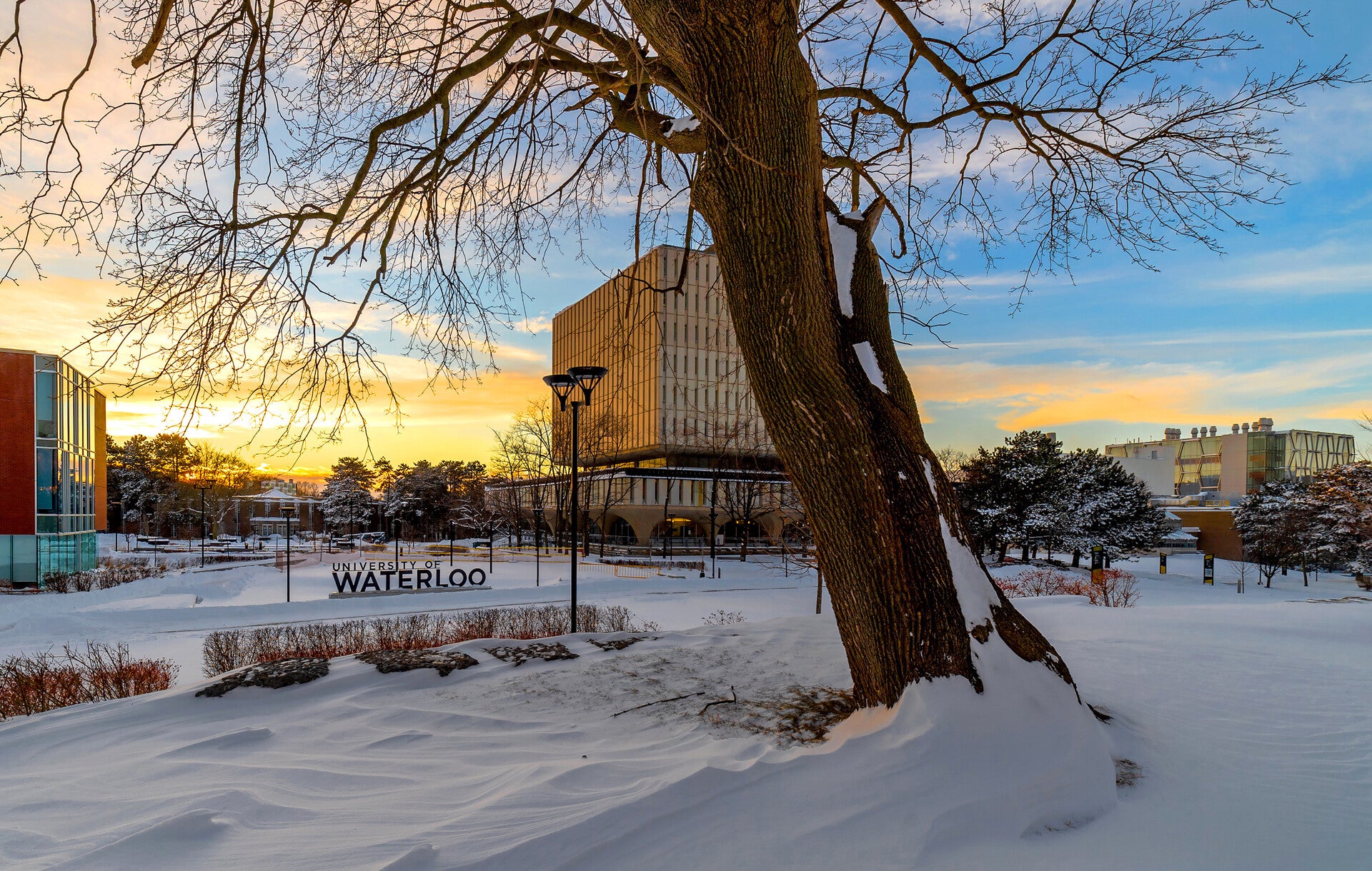 Waterloo among top universities for global brand recognition | Waterloo News