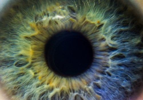 closeup of eye