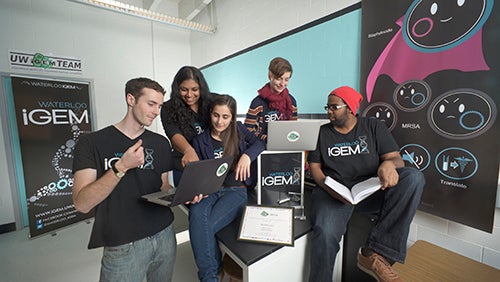 the IGem Team