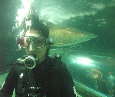 Jillaine Ye - co-op student 'on-the-job' during a shark dive at Scuba World, Australia