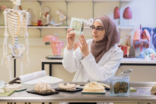 Nooran AbuMazen studying samples of a brain