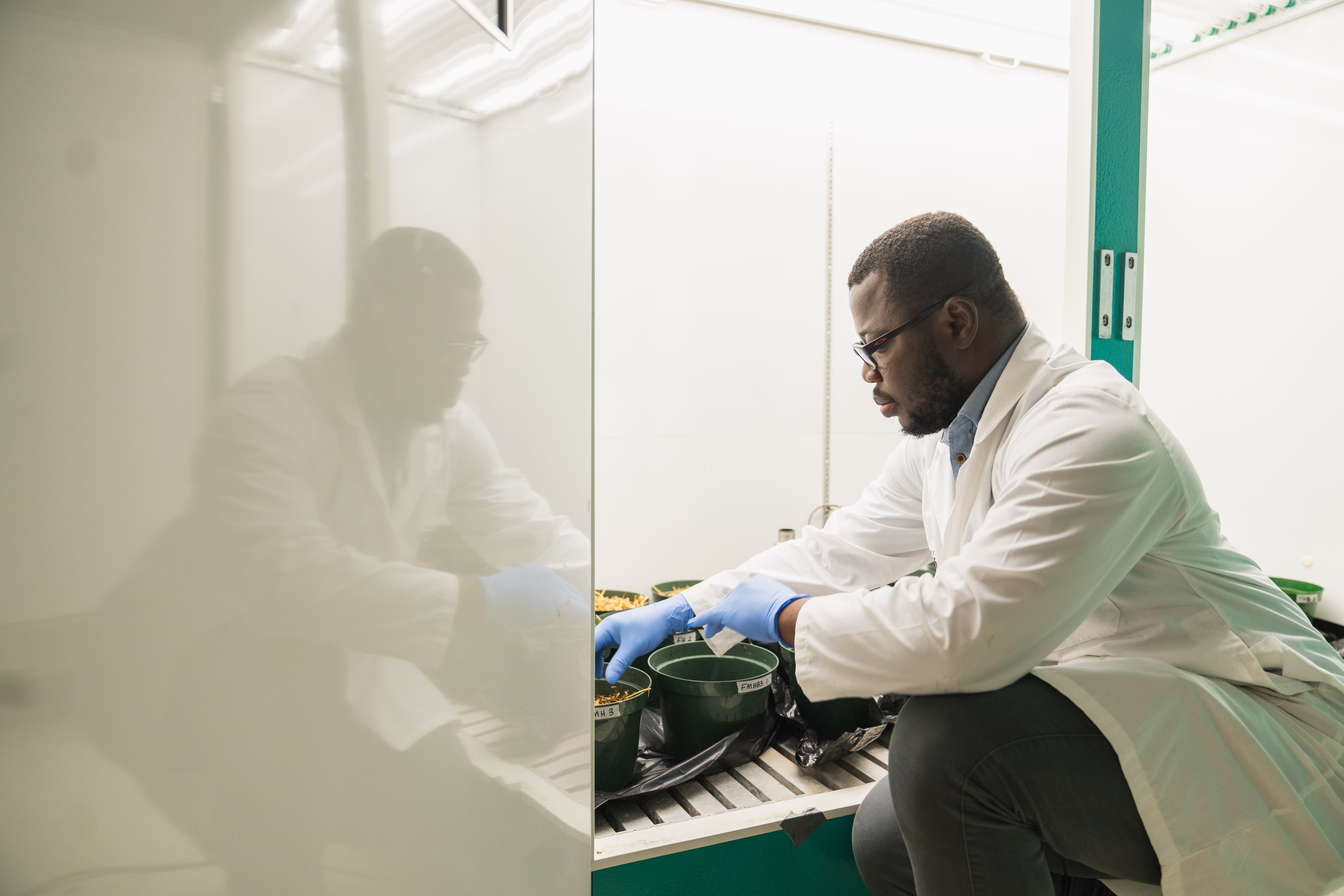 Augustine Kwame Osei tending his mixtures. 