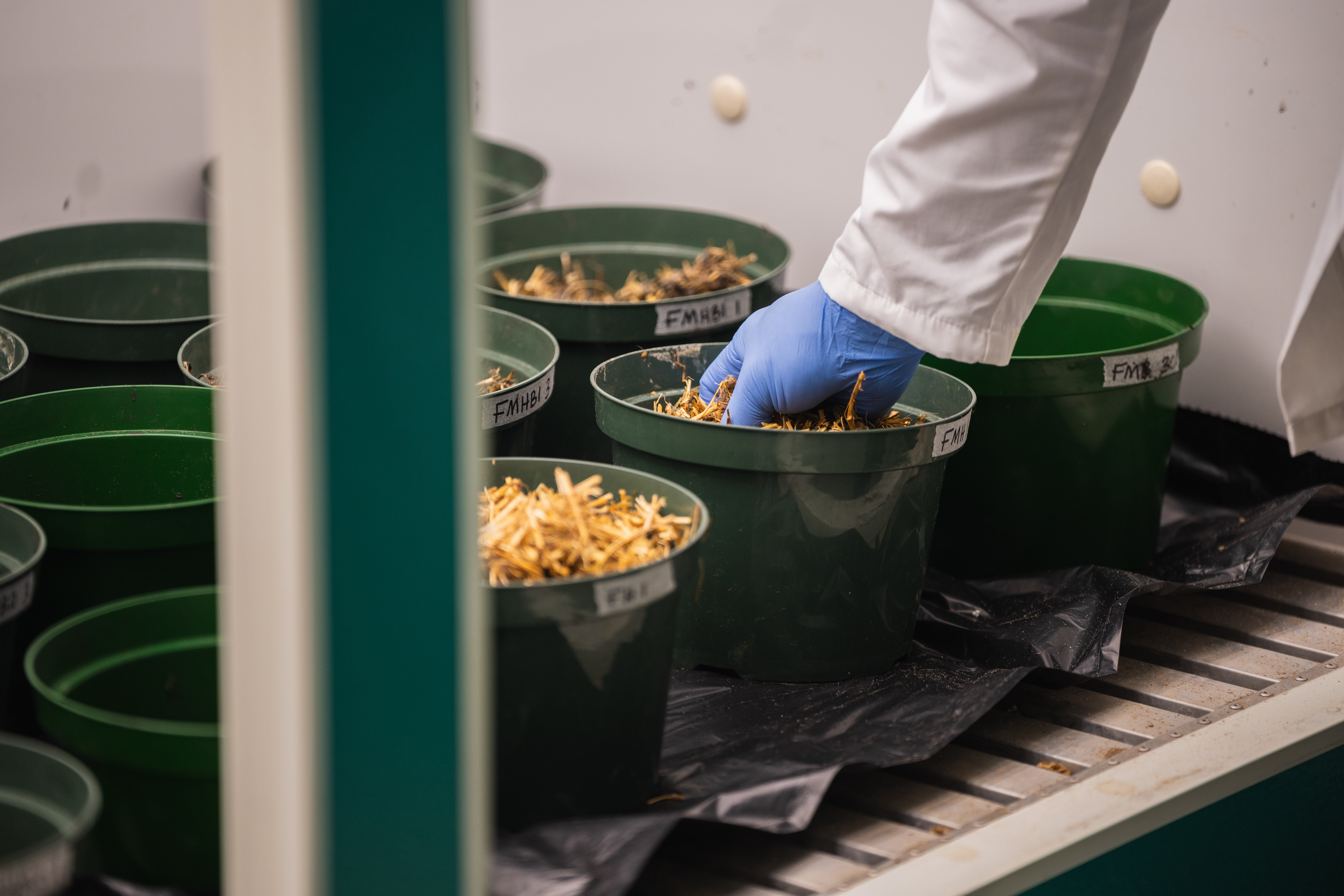 Mixing waste fiber, manure and biochar.