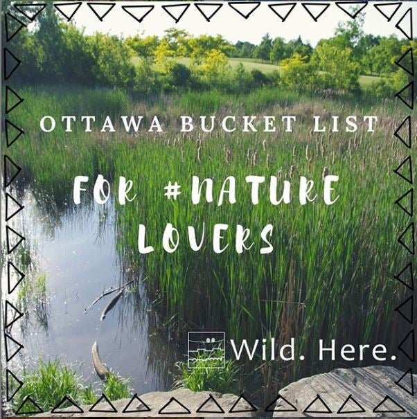 &quot;Ottawa Bucket List&quot; post on Wild. Here. Instagram account