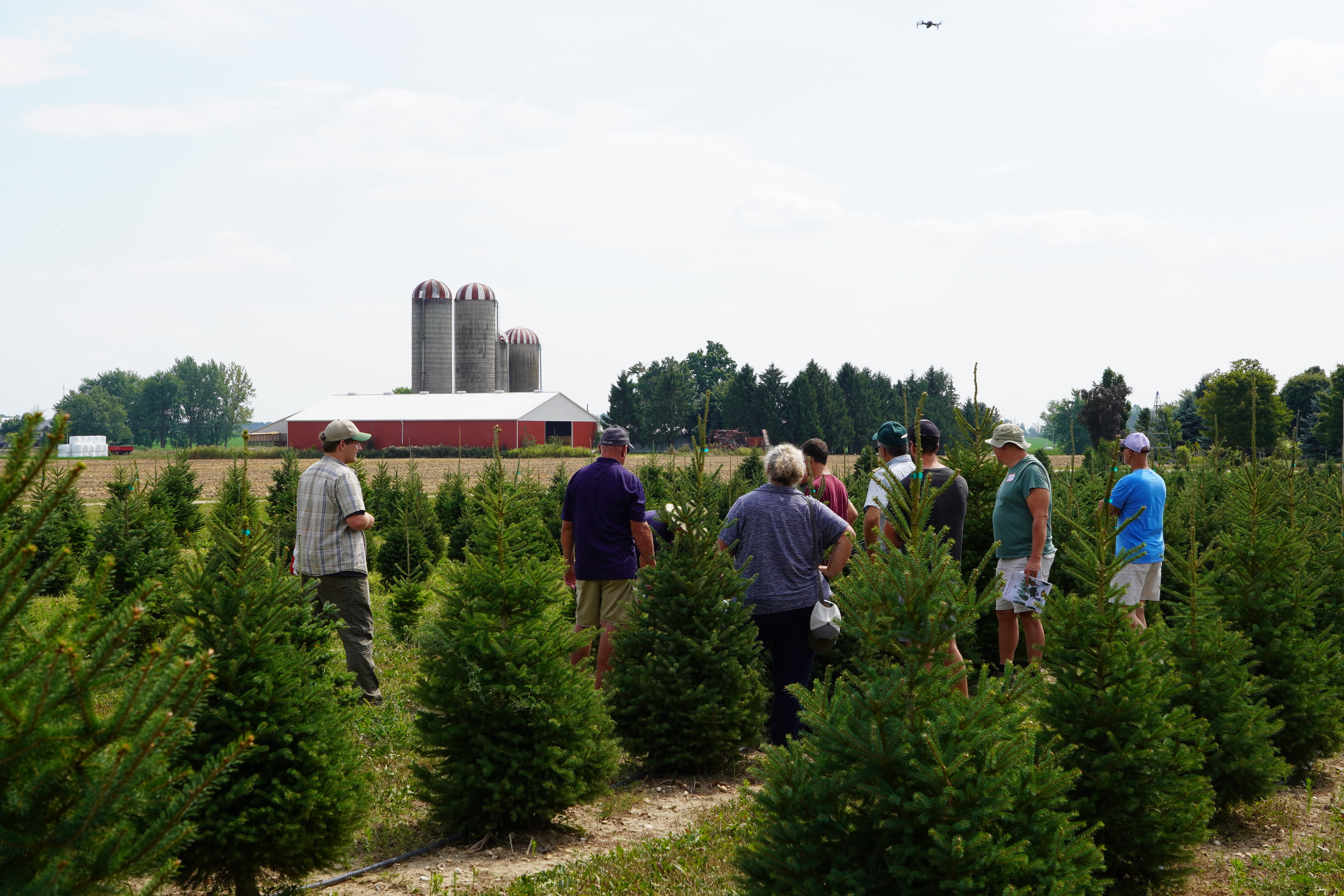 Farmers gathered around the trees.