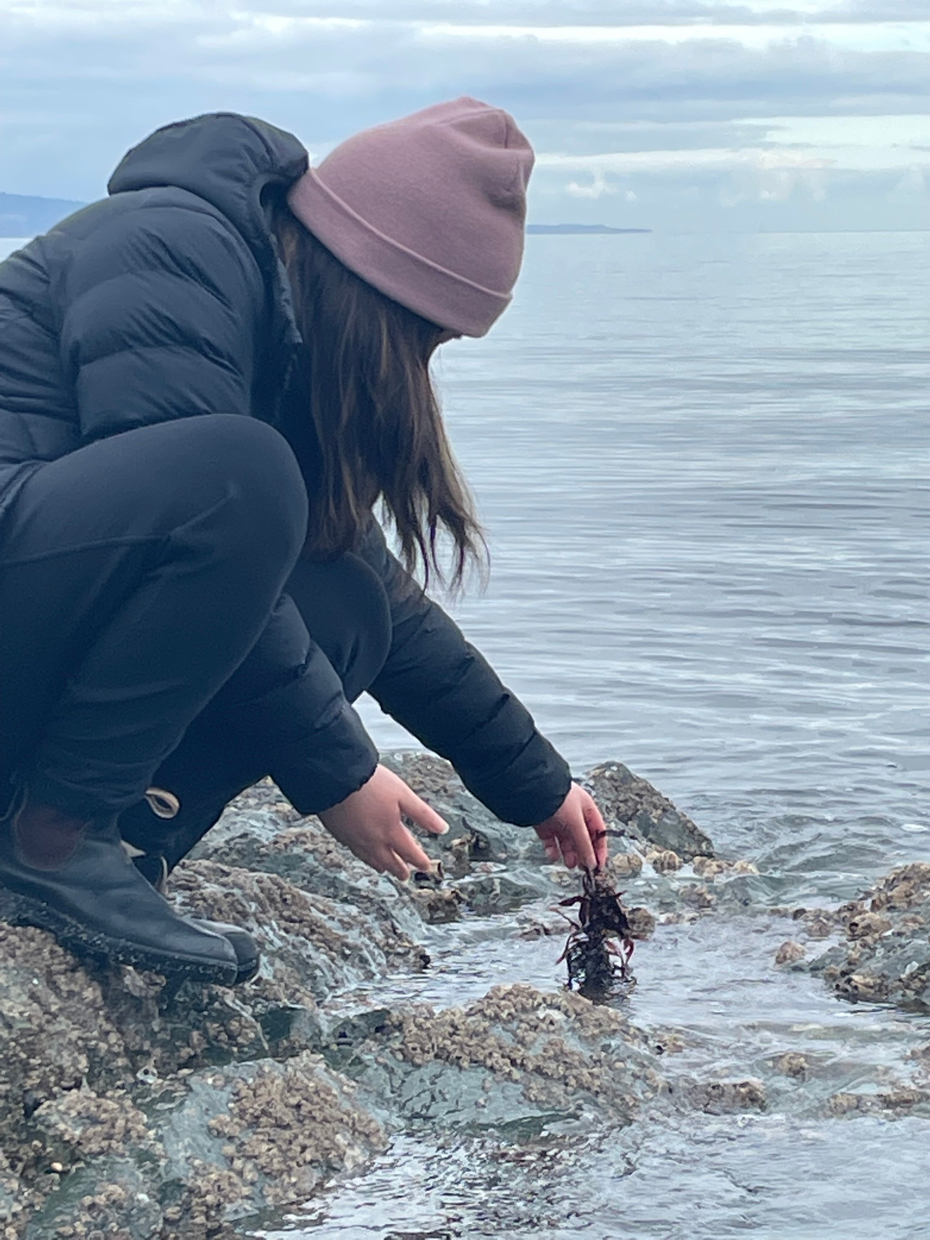 Kelly Zheng examines seaweed on Canada’s west coast during her research.