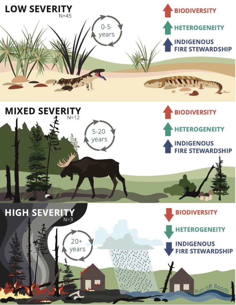 Global biodiversity graphic