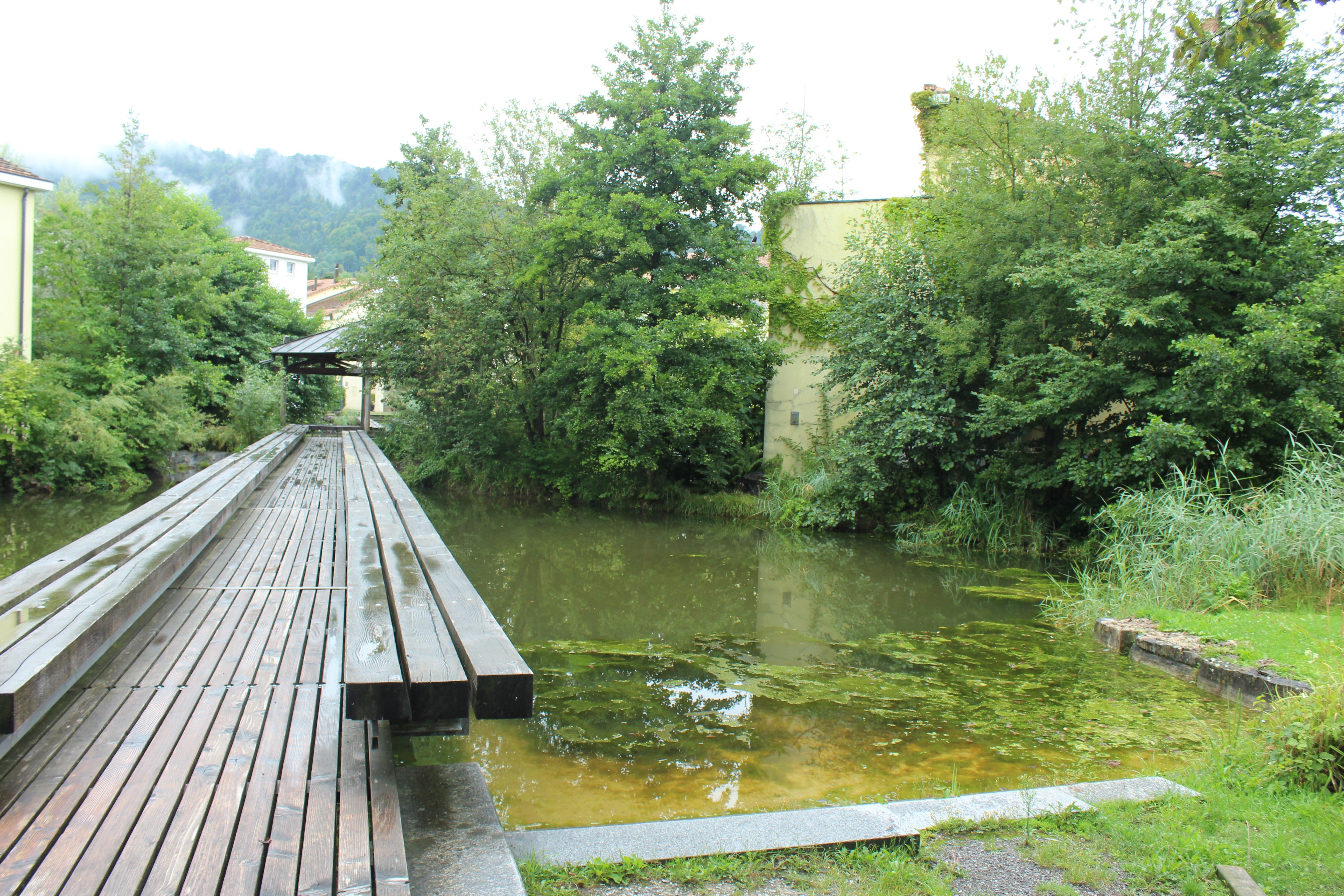 Urban stream in Switzerland.