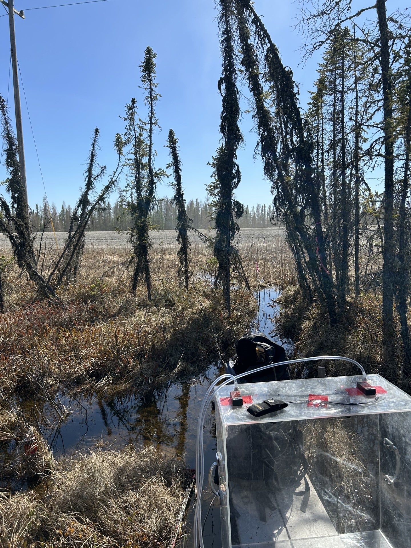 A greenhouse gas flux chamber in the middle of a marsh in Aspen, Alberta