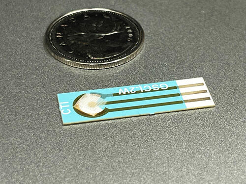painless patch beside a 25-cent piece for scale