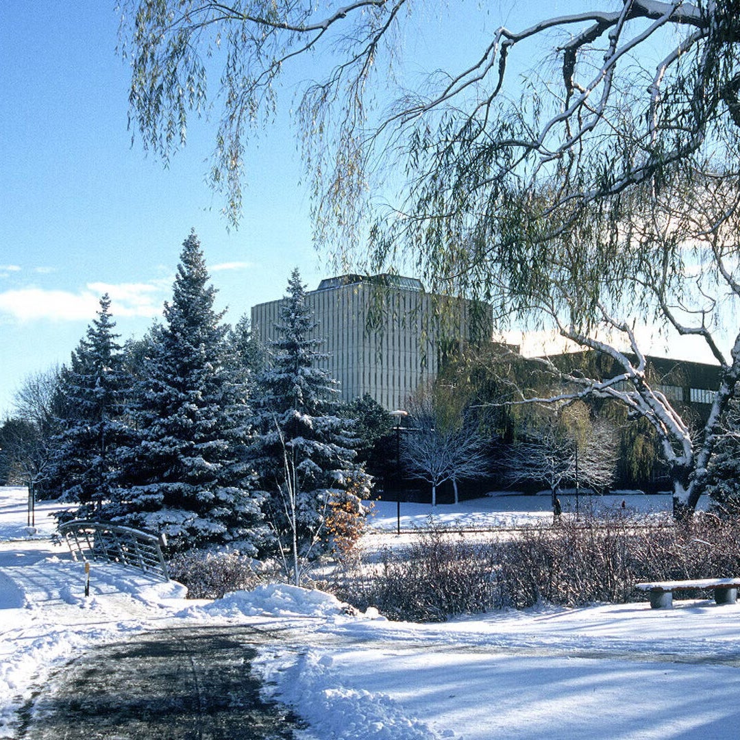 snow on campus