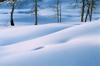 A snow covered landscape with trees in the distance