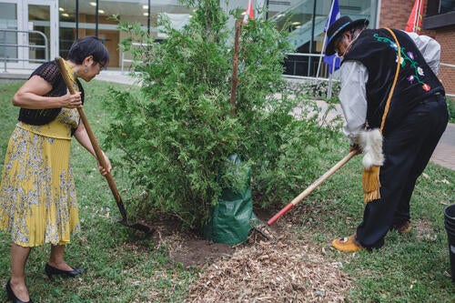 Dean Liu and Elder Henry plant a cedar tree