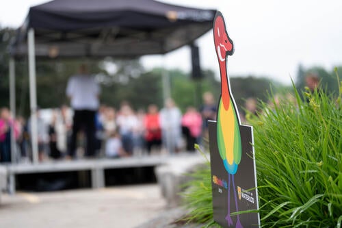 Image from behind the stage of Washington Silk at microphone addressing crowd and a rainbow goose in foreground
