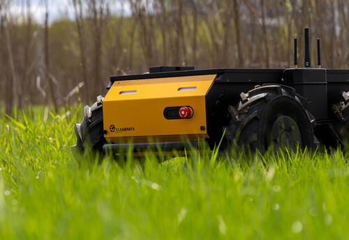 Rover in the grass