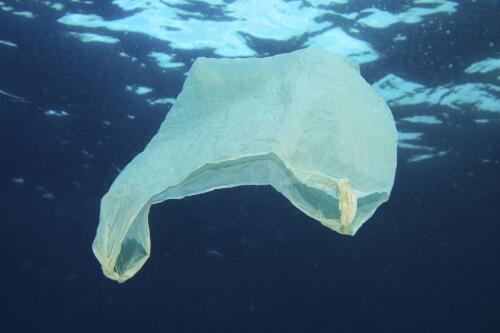 Plastic bag in water
