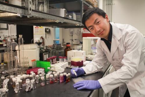 Shengyan Liu working with samples in a lab.