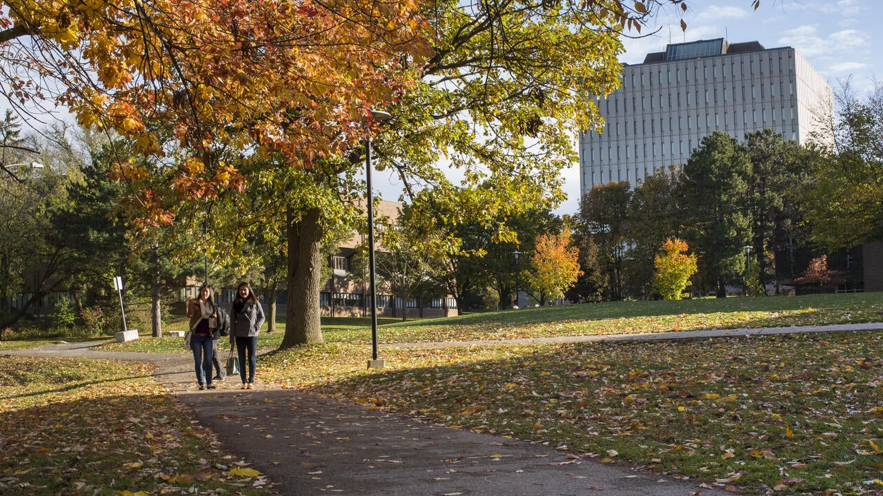 Students walk by Dana Porter Library during the fall
