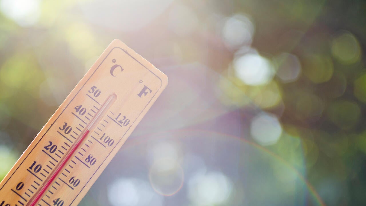 Thermoeter shows over 30-degrees celicus in front of foliage with sun flares